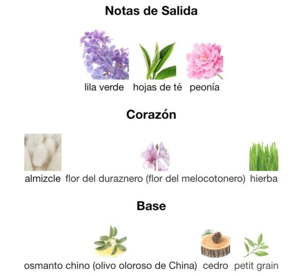 AURA D'ECLAT de MAISON ALHAMBRA notas